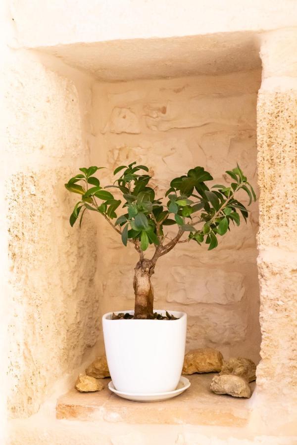 Vincent Suite Luxury B&B Palo del Colle Exterior foto